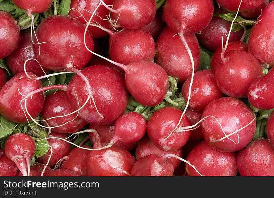 Many red radishes against a leafy background