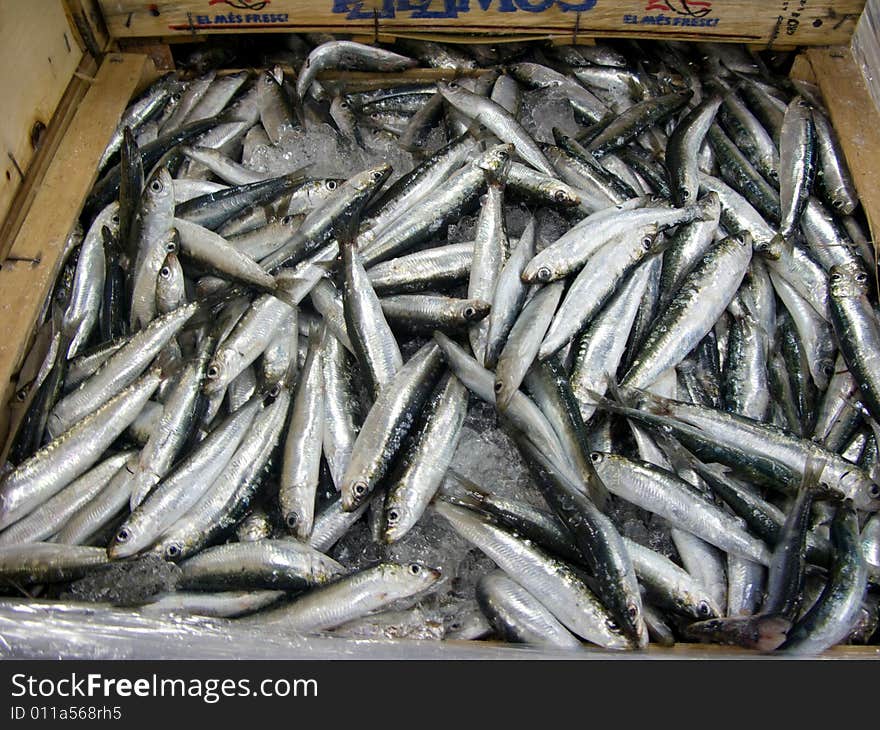 A box of fresh sardines