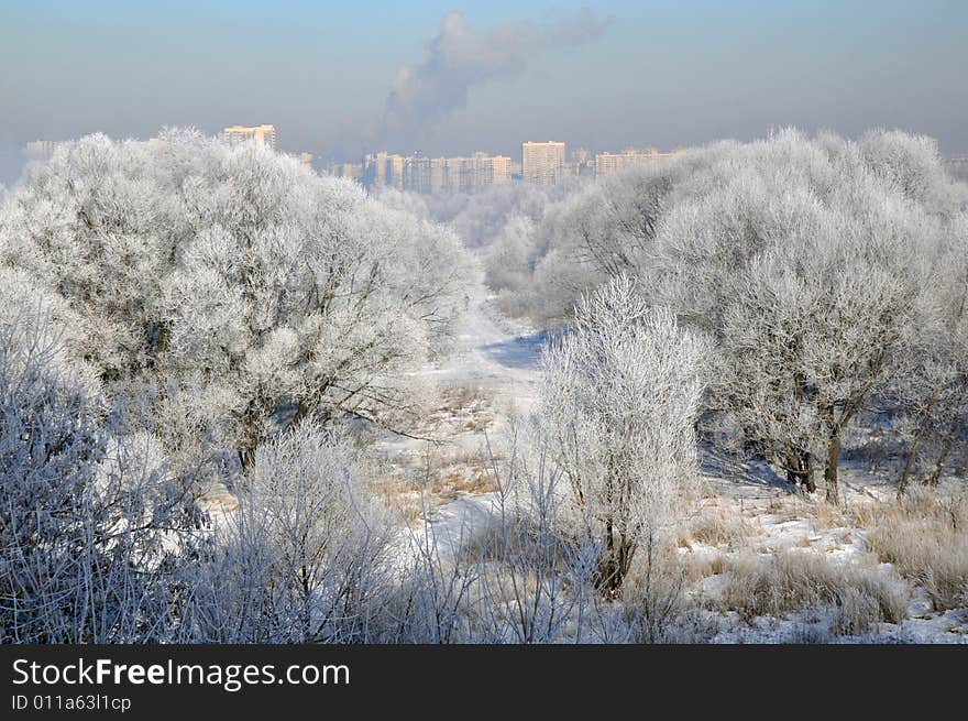 View winter landscape and view City