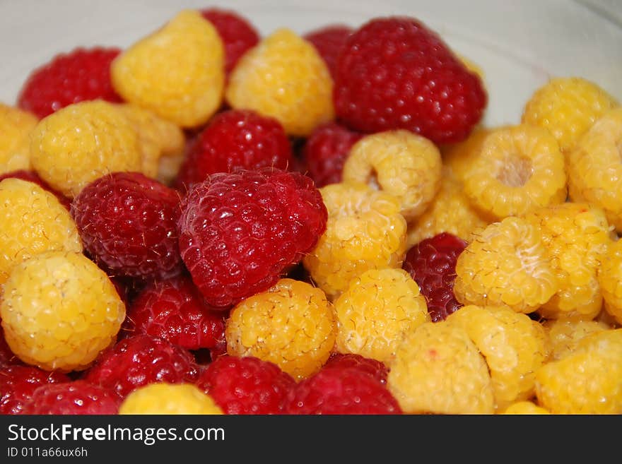 Red and gold raspberries