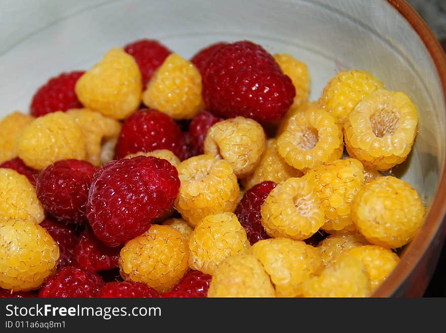 Red and gold raspberries