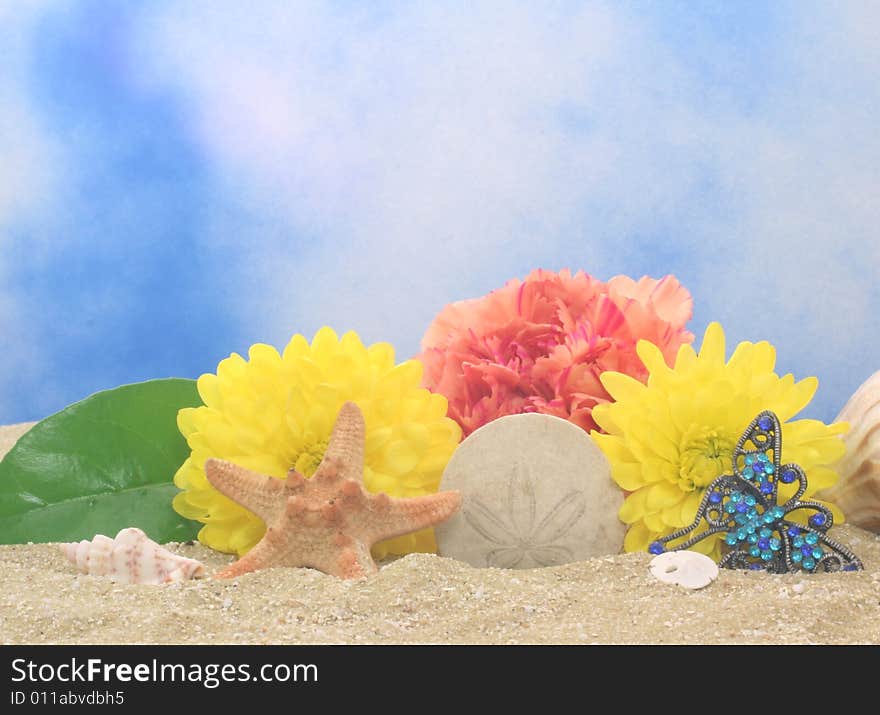 Flowers and Sea Shells on Sand With Blue Background. Flowers and Sea Shells on Sand With Blue Background