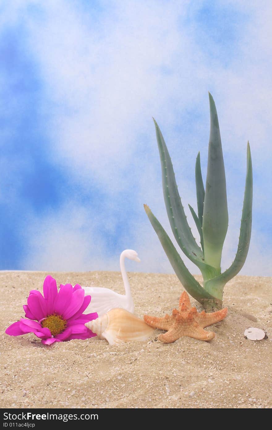 Aloe Vera Plant With Flower and Sea Shells on Sand. Aloe Vera Plant With Flower and Sea Shells on Sand