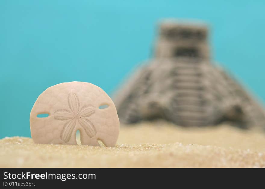 Sand Dollar and Pyramid on Beach, Shallow DOF