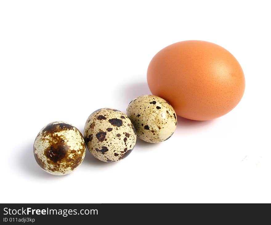 Chicken and Quail Eggs on white background