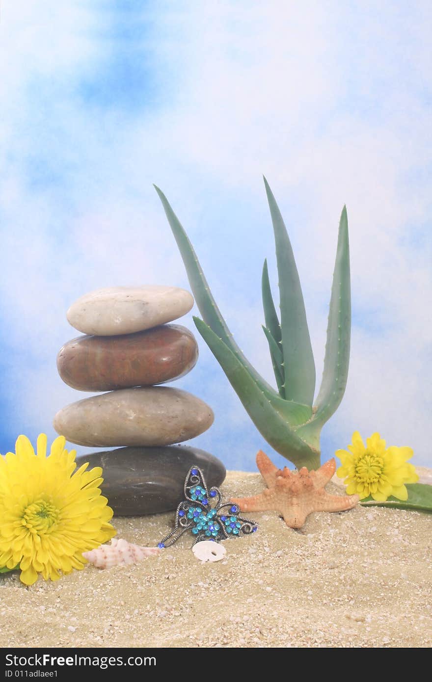 Aloe Vera With Sea Shells on Beach. Aloe Vera With Sea Shells on Beach