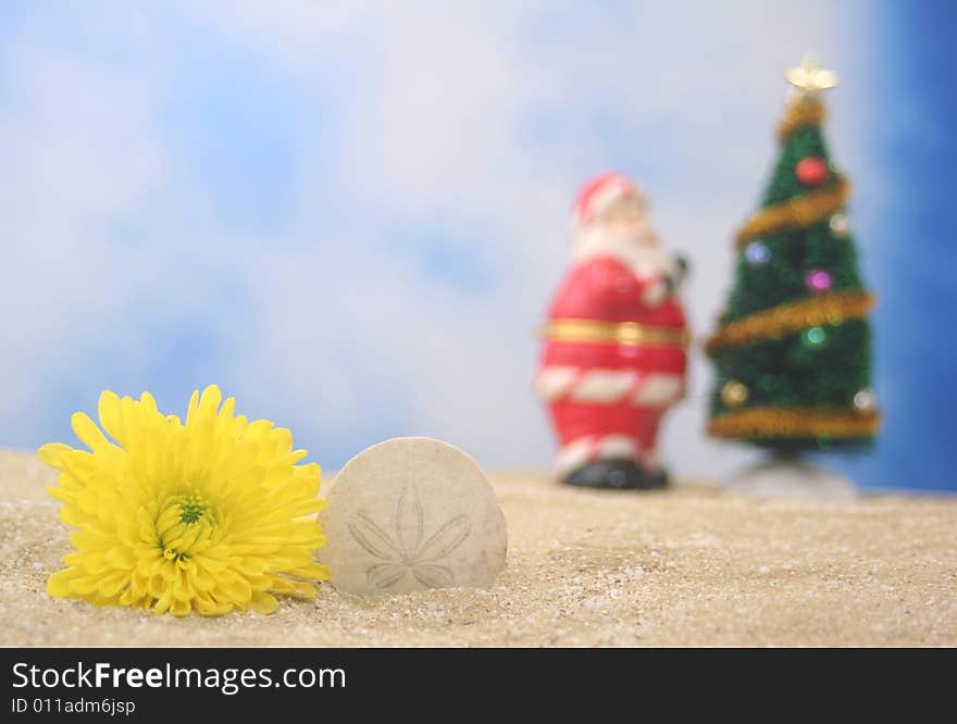 Flower and Christmas Tree on Sand, Shallow DOF, Focus on Sea Shell. Flower and Christmas Tree on Sand, Shallow DOF, Focus on Sea Shell