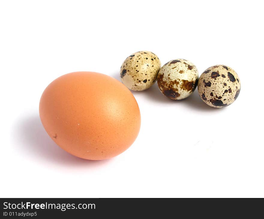 Chicken and Quail Eggs on white background