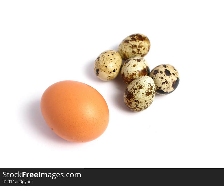 Chicken and Quail Eggs on white background