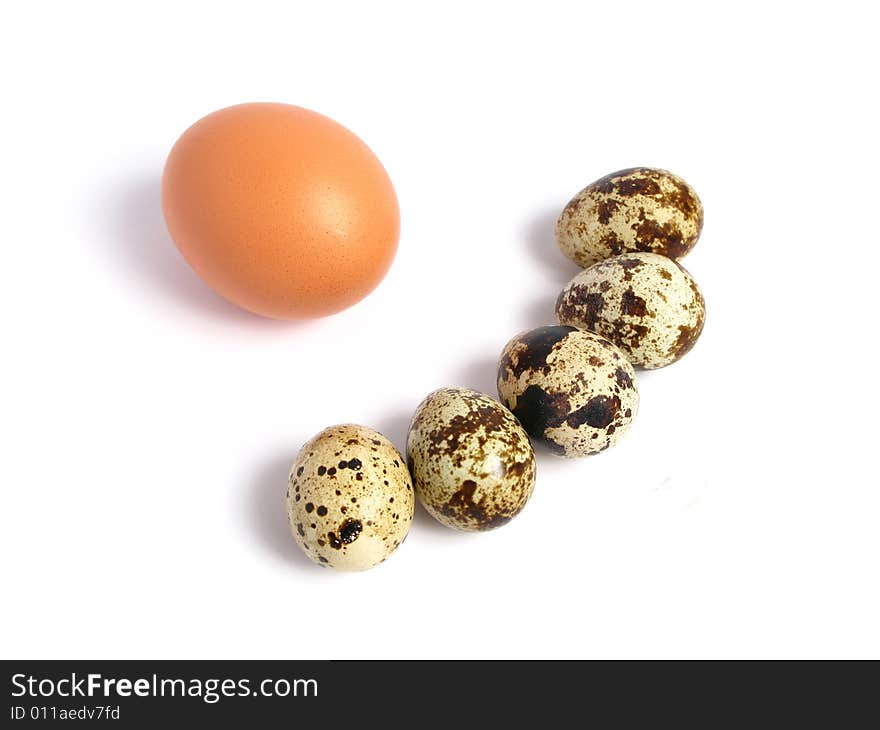 Chicken and Quail Eggs on white background