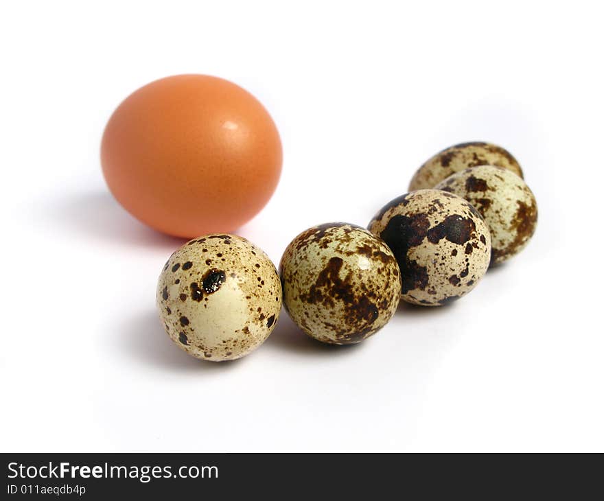 Chicken and Quail Eggs on white background