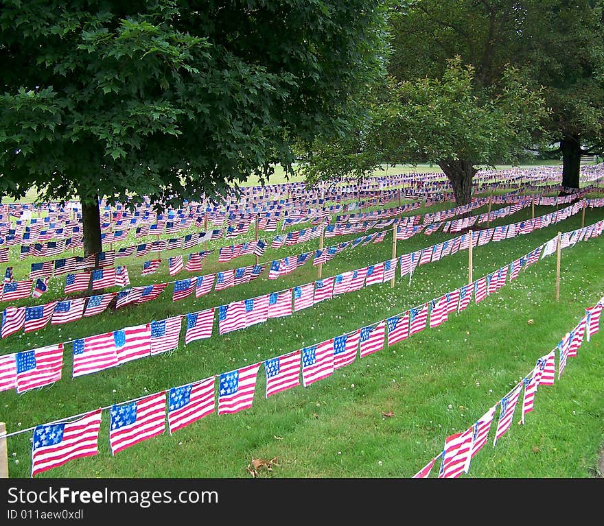 Field of Flags