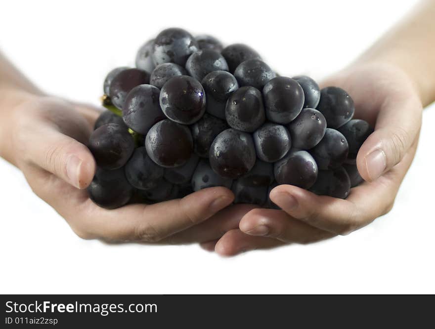 Grape in hands