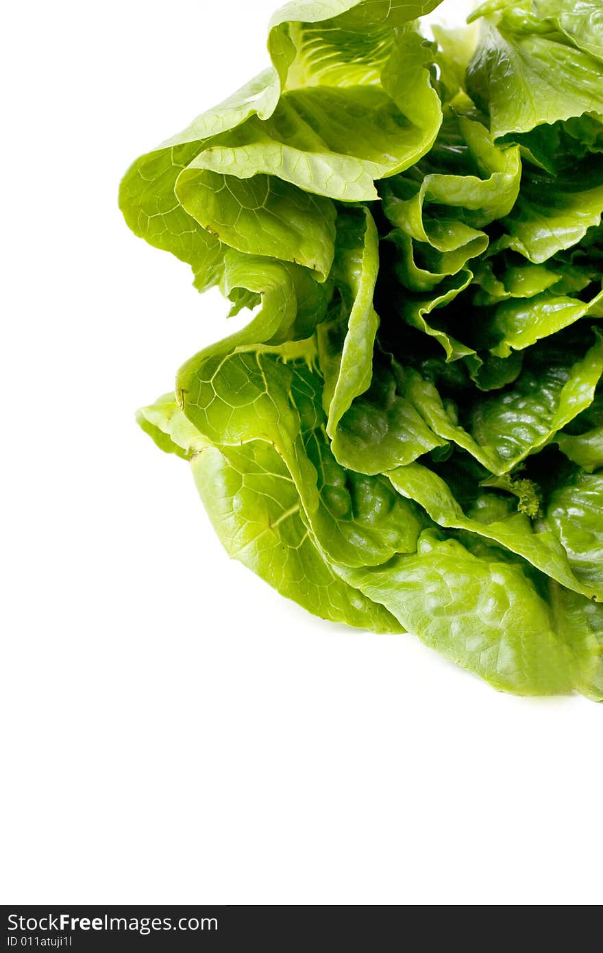 Salad isolated on white background