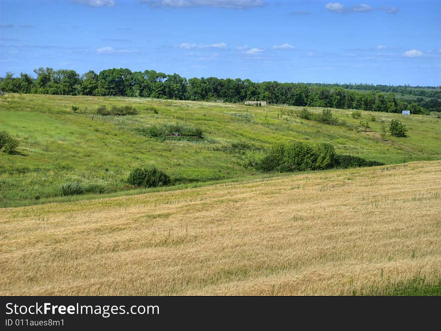 Beauty nature green grass, trees and blue clean sky. Beauty nature green grass, trees and blue clean sky