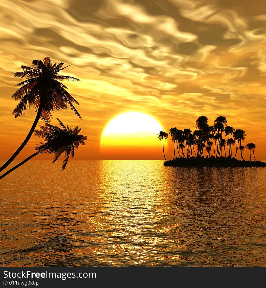 Sunset coconut palm trees on small island .