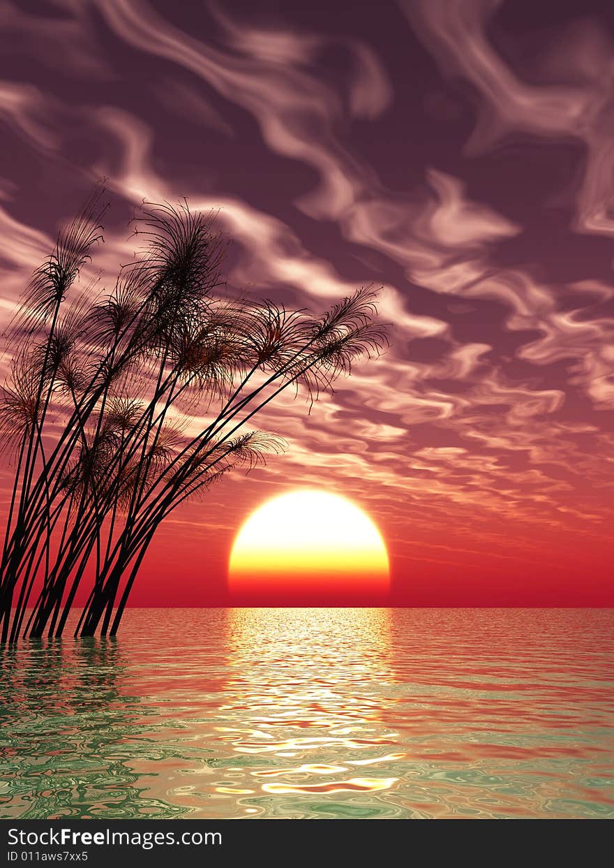 Water plants on a sea sunset  background  -  digital artwork. Water plants on a sea sunset  background  -  digital artwork.