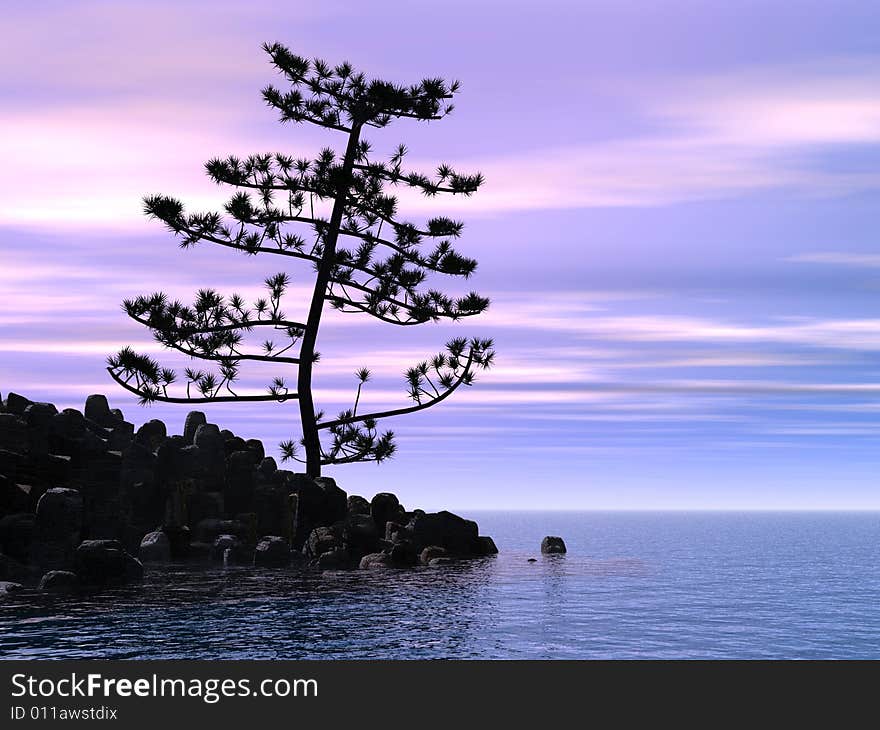 Pine tree at sea coast - digital artwork.