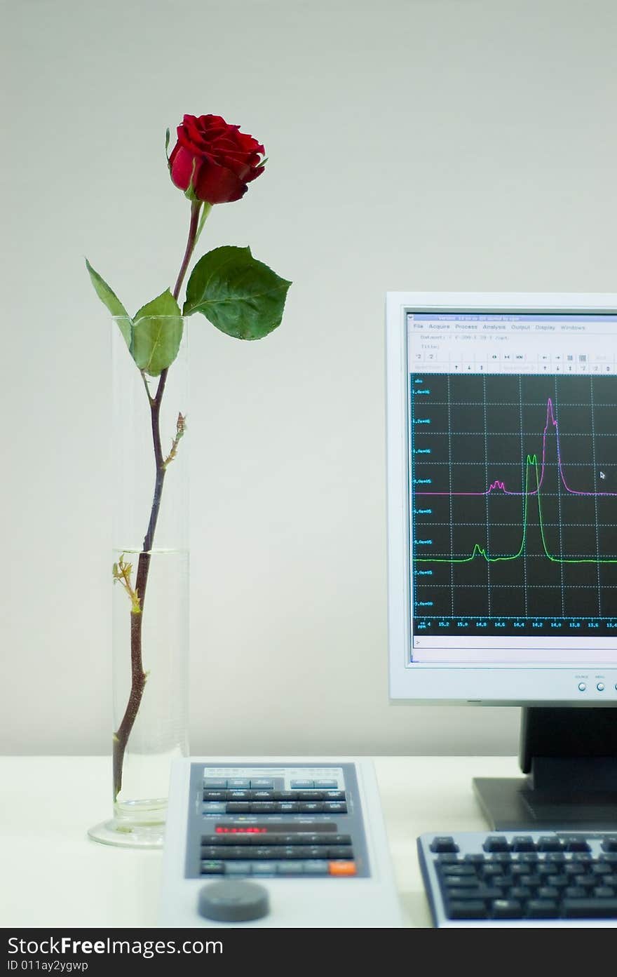 Rose in laboratory of Nuclear Magnetic Resonance . Rose in laboratory of Nuclear Magnetic Resonance .