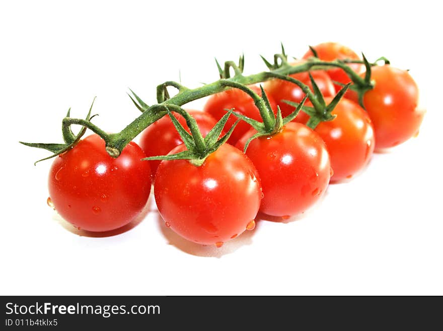 Branch of green branch fresh ripe red tomatoes cherry