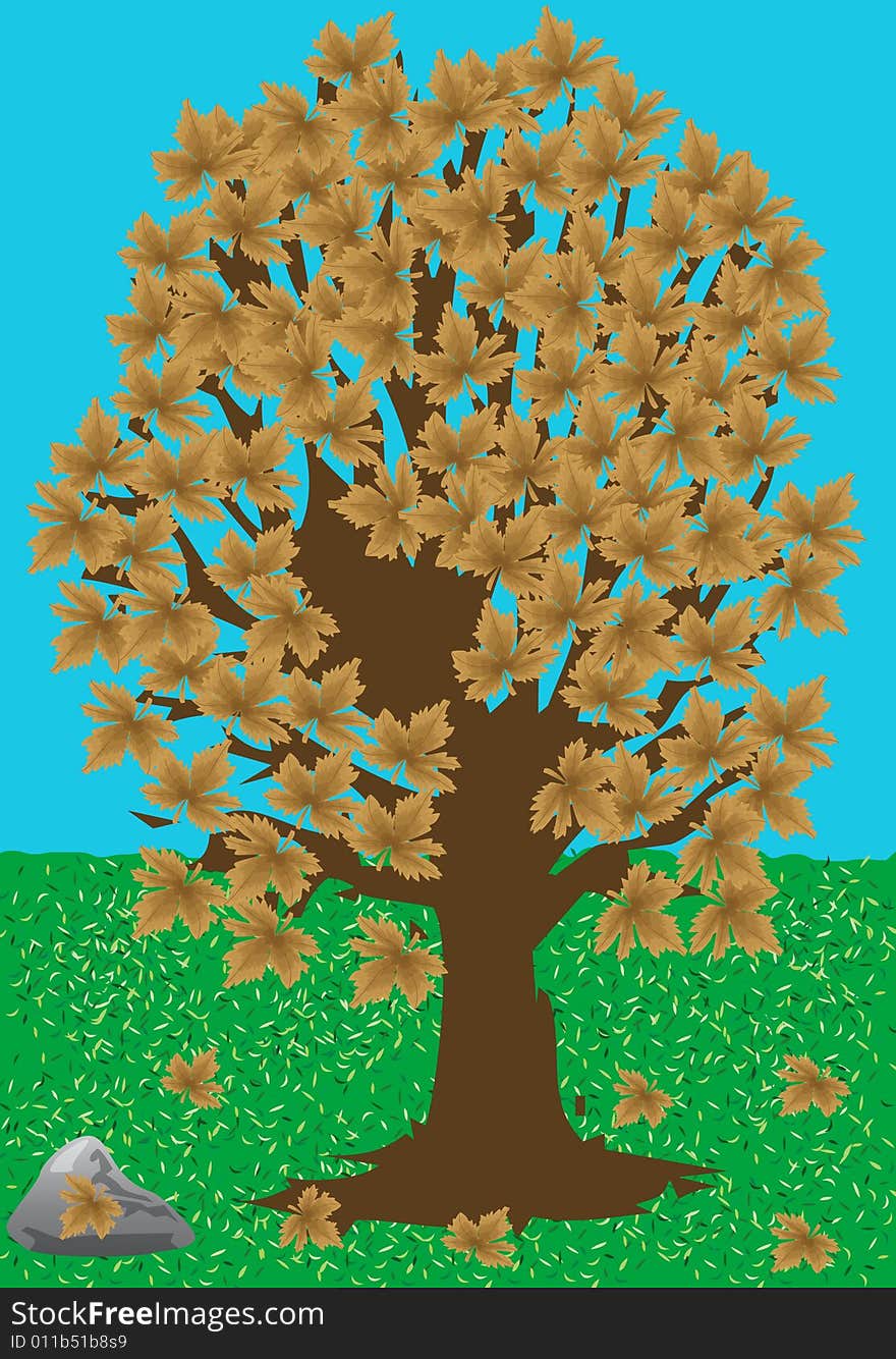 Tree In Autumn