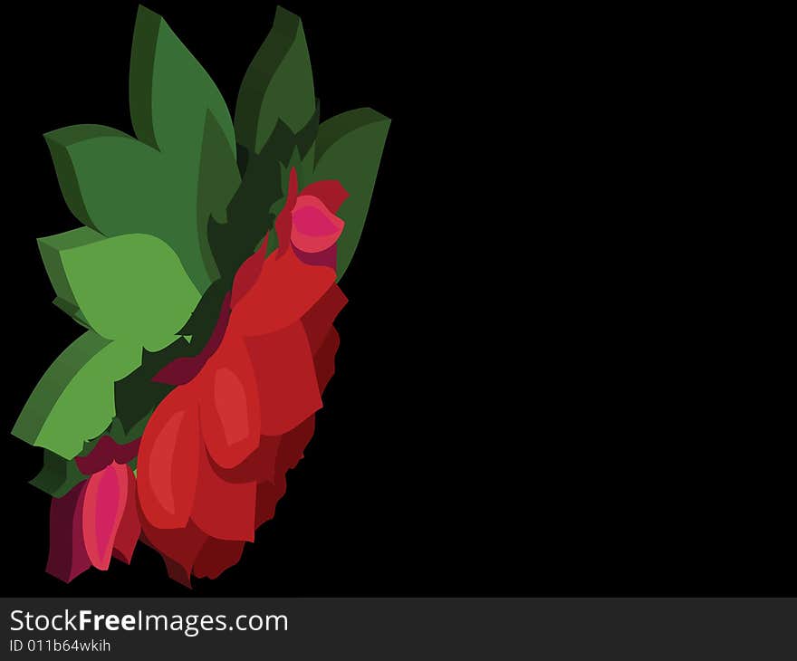 Black background with red flower and green leaves