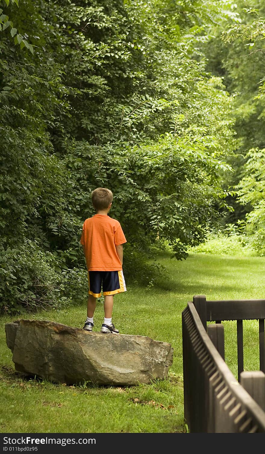 Boy walking in the woods ponders which path to take. Boy walking in the woods ponders which path to take