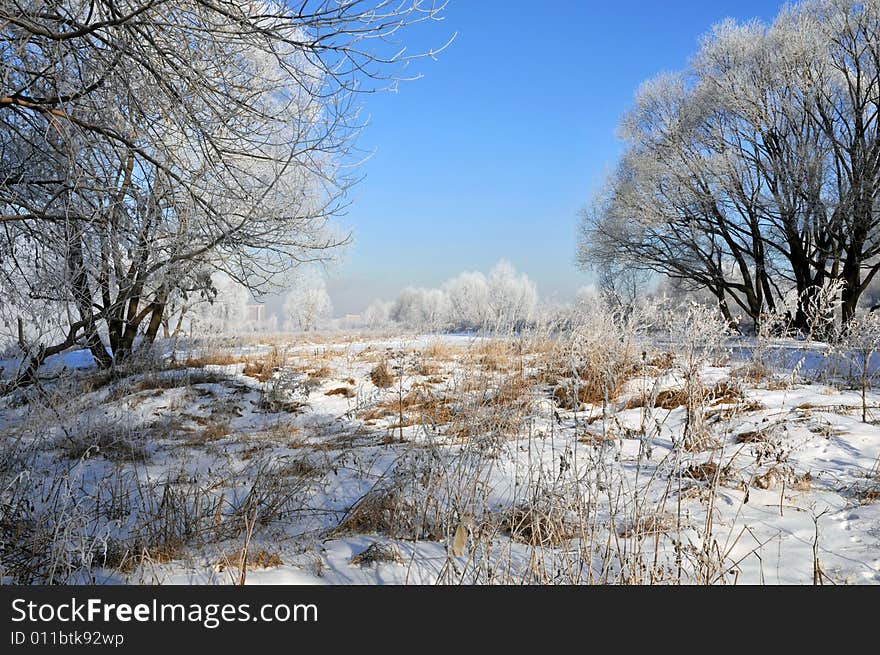 View winter landscape and blue sky