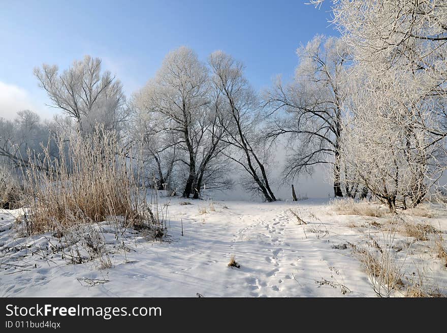 View winter landscape and blue sky