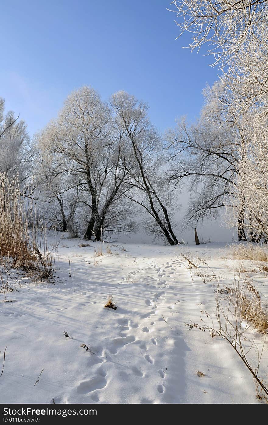 View winter landscape and blue sky