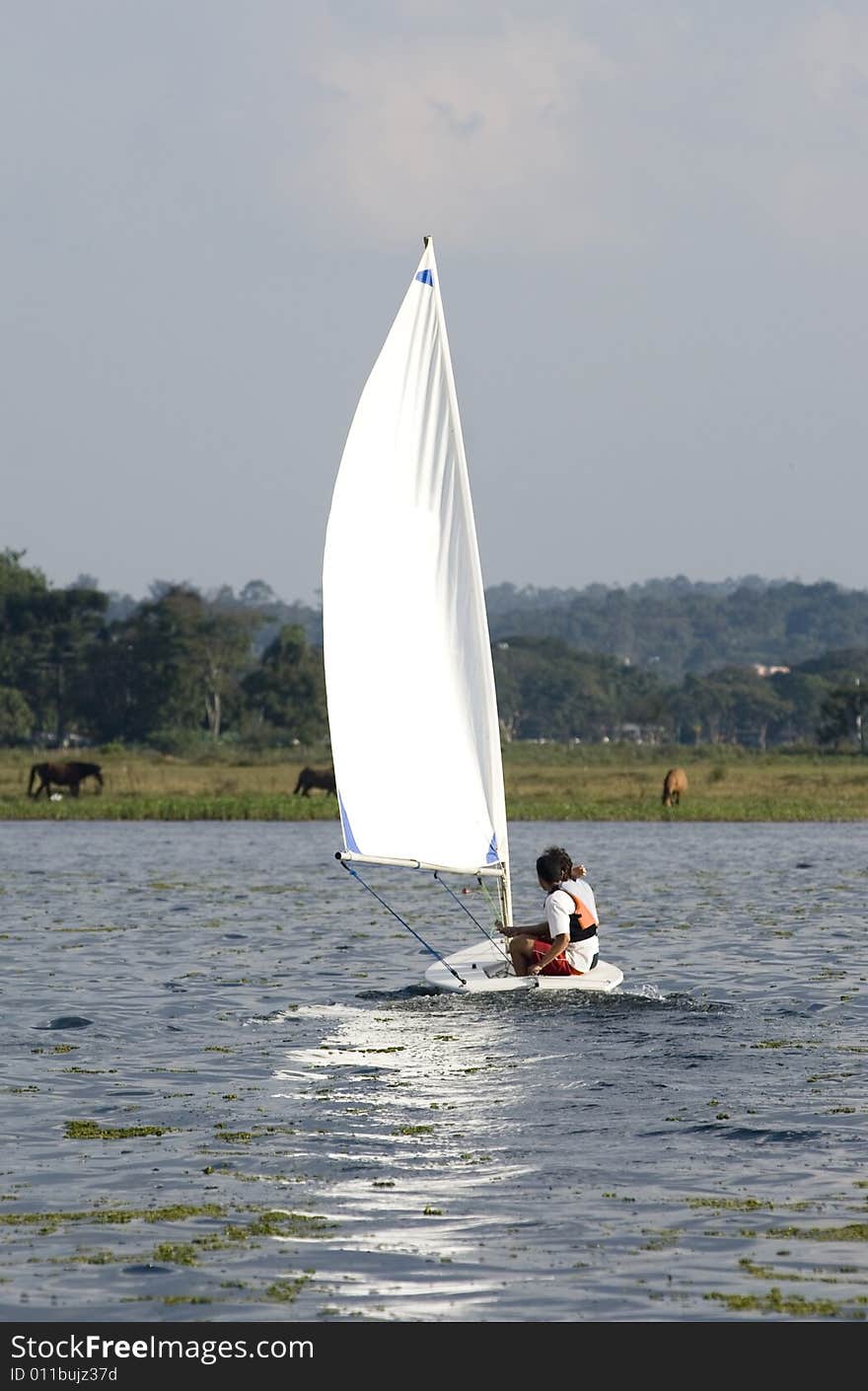 Couple Sailing Across Lake - Vertical