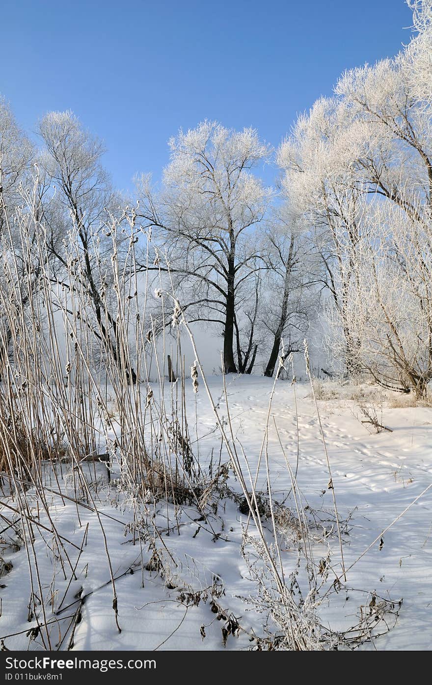 View winter landscape and blue sky