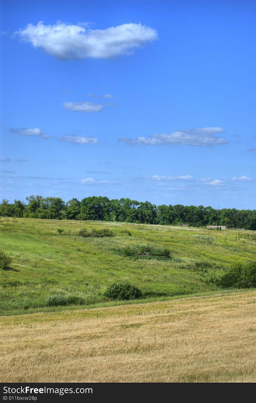 Beauty nature green grass, trees and blue clean sky. Beauty nature green grass, trees and blue clean sky