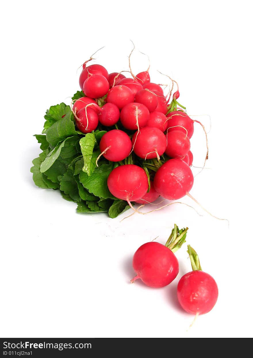 Radish bunch on white background