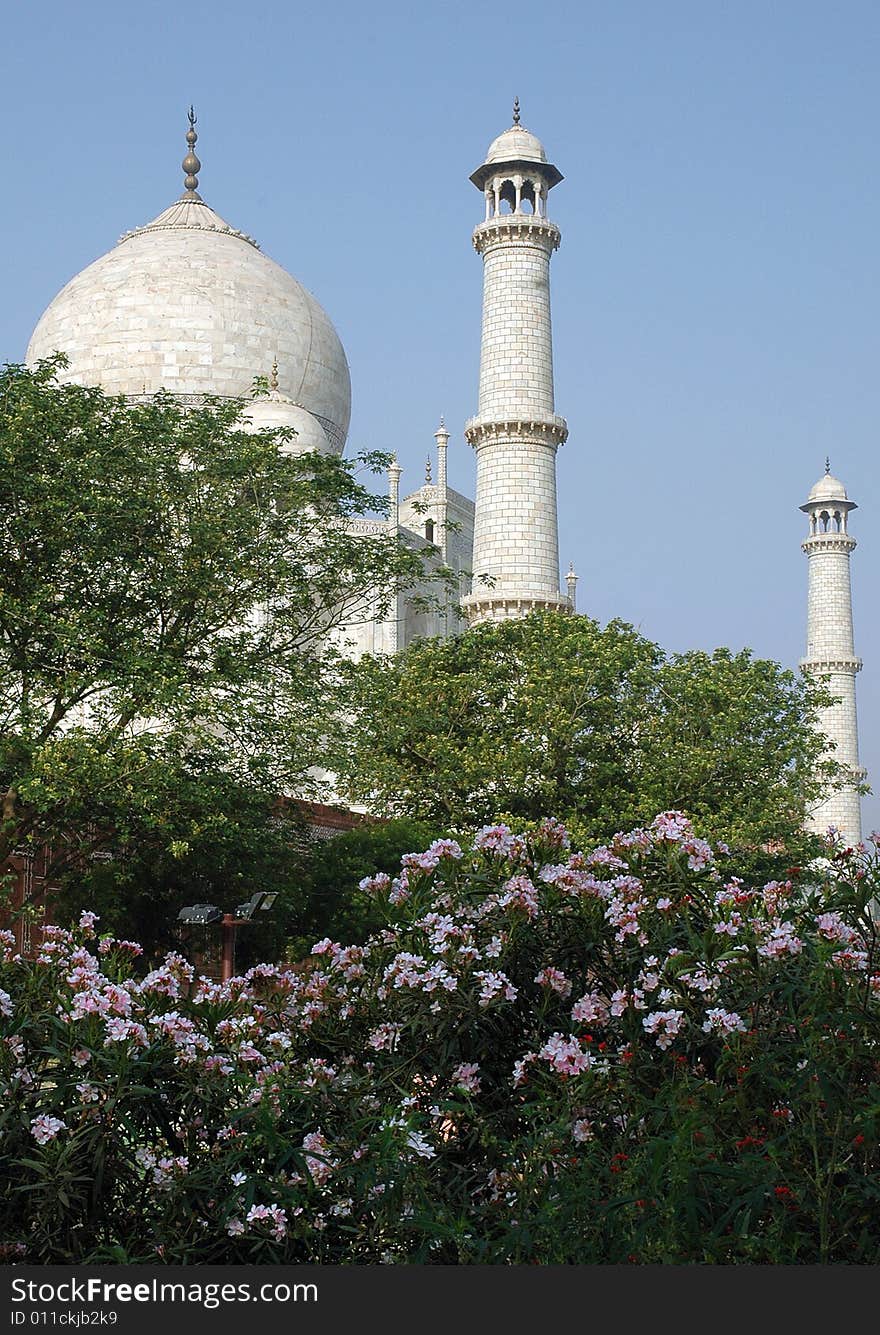 Back side of Taj mahal at Agra-India. Back side of Taj mahal at Agra-India.