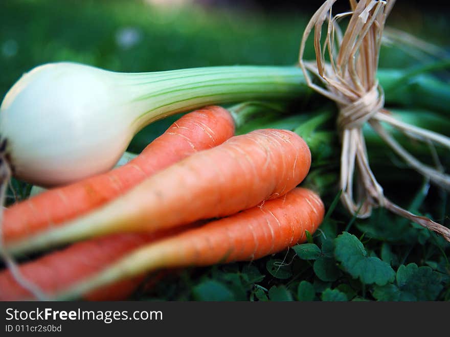 Carrot and onions tied up together in green grass