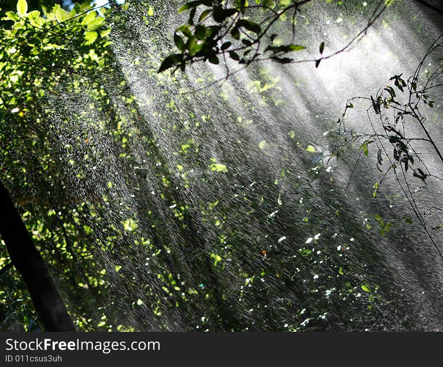 A suggestive shot of jets of water in a forest. A suggestive shot of jets of water in a forest