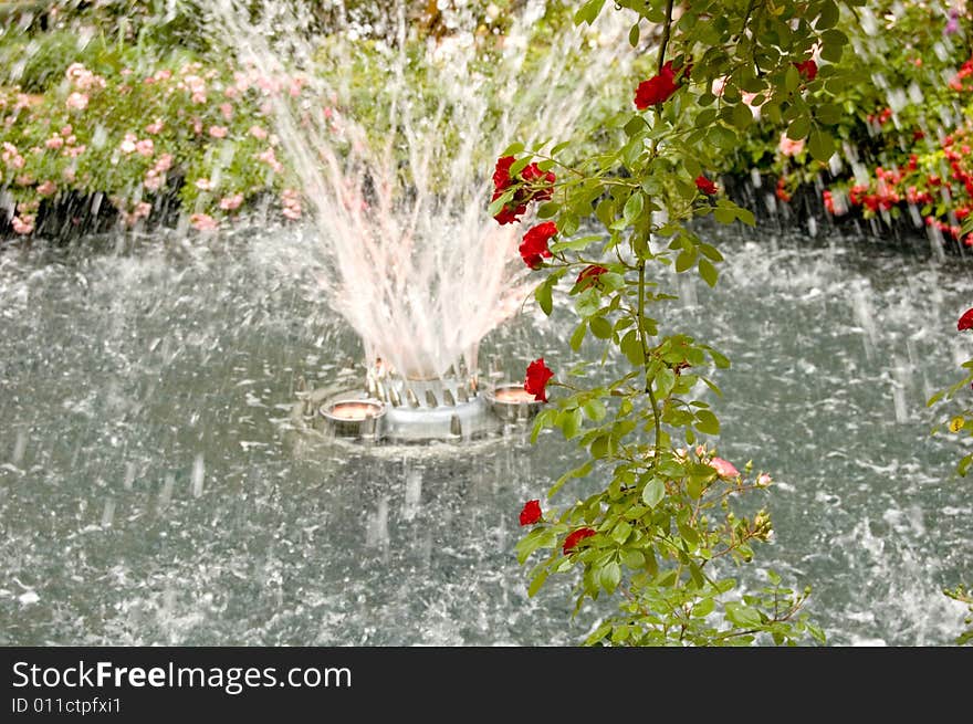 Fountain and roses at a summer day in a city park. Fountain and roses at a summer day in a city park