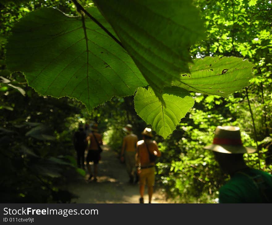 A nature landscape in a beautiful day. A nature landscape in a beautiful day