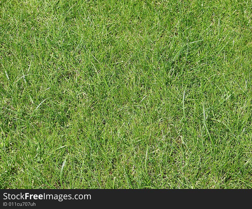 Background green lawn freshly mowed. Background green lawn freshly mowed