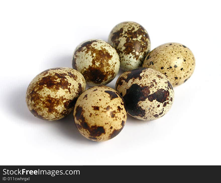 Quail Eggs in group on white background