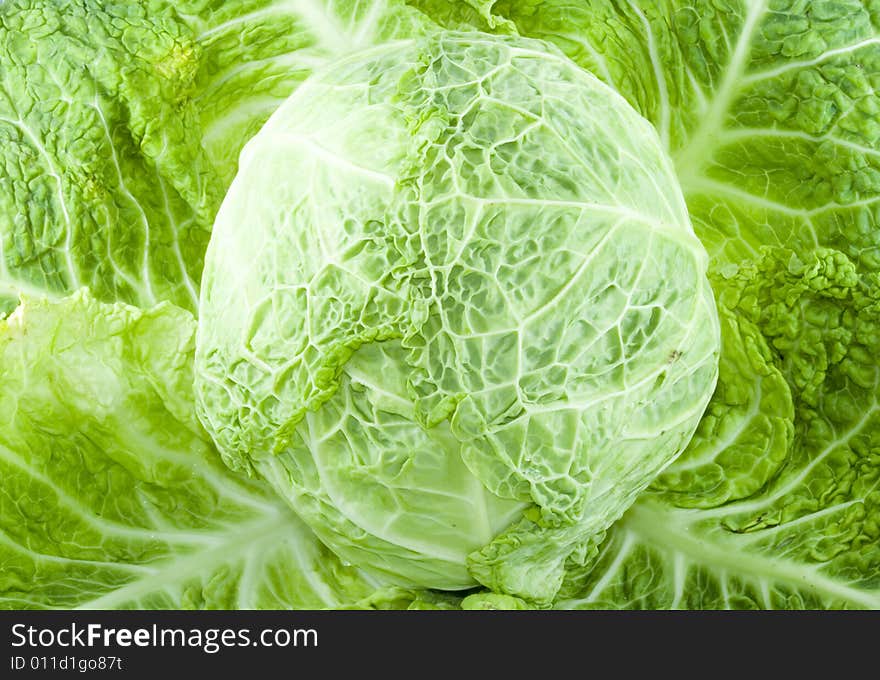 A piece of green cabbage - vegetable - detail