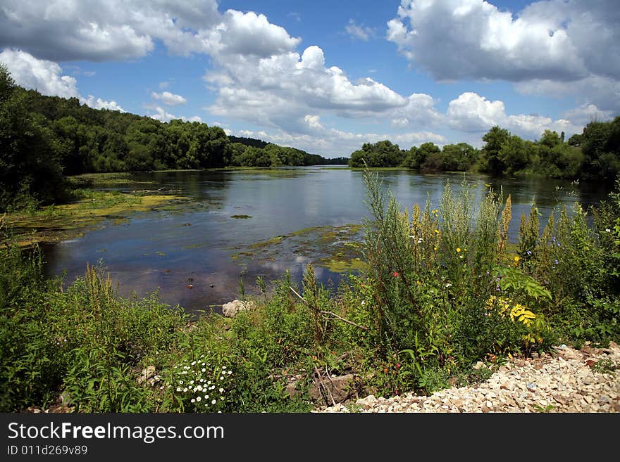 River in the summer