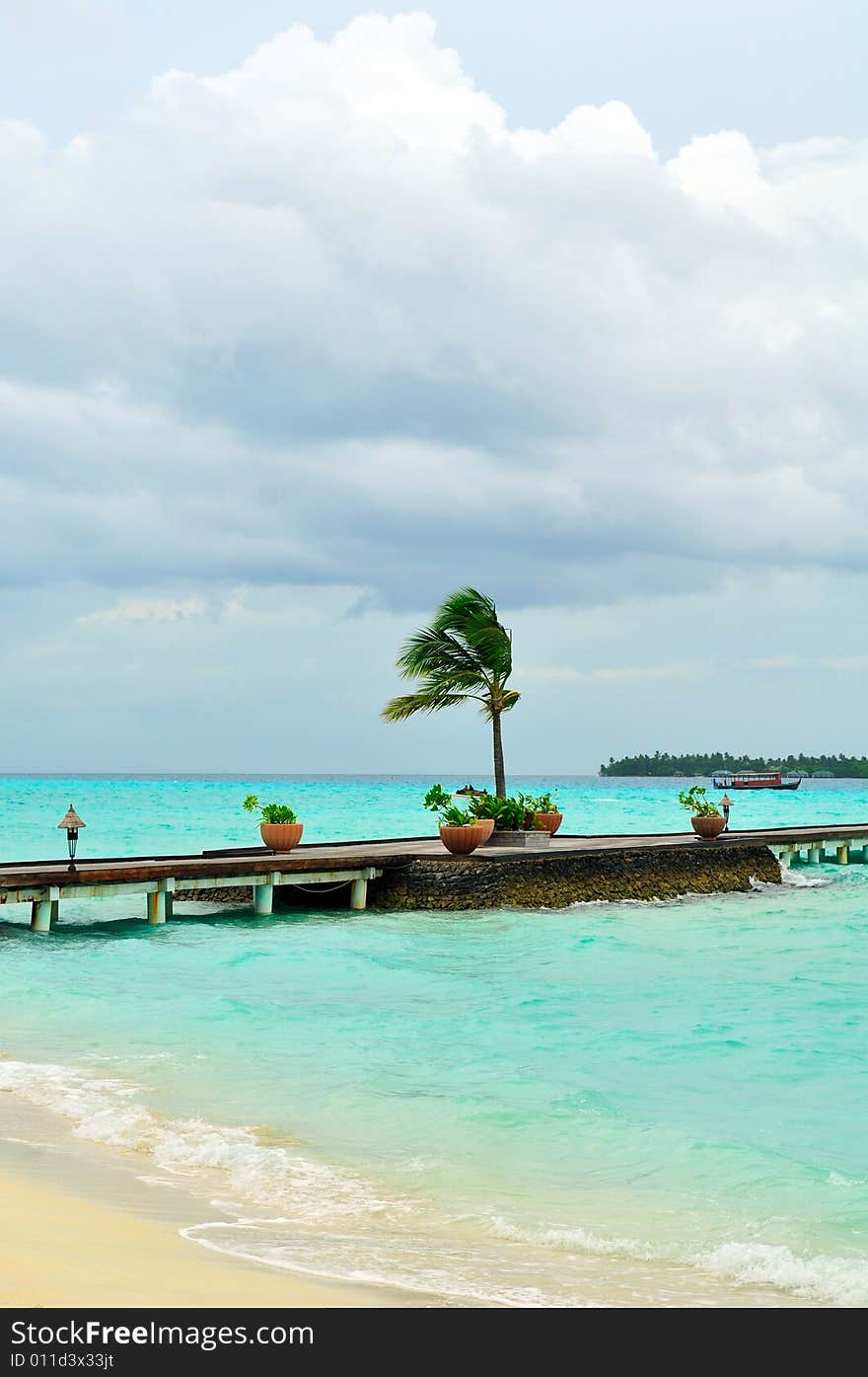 Island of Paradise. White sand beaches with coco-tree and crystal blue water. Maldives. Luxury holidays. Island of Paradise. White sand beaches with coco-tree and crystal blue water. Maldives. Luxury holidays.