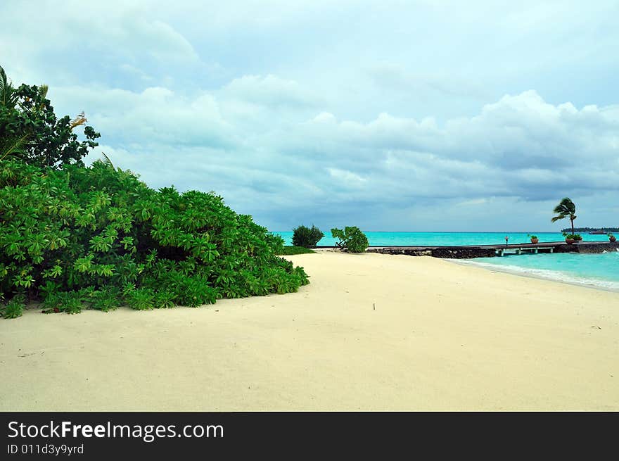 Island of Paradise. White sand beaches with coco-tree and crystal blue water. Maldives. Luxury holidays. Island of Paradise. White sand beaches with coco-tree and crystal blue water. Maldives. Luxury holidays.