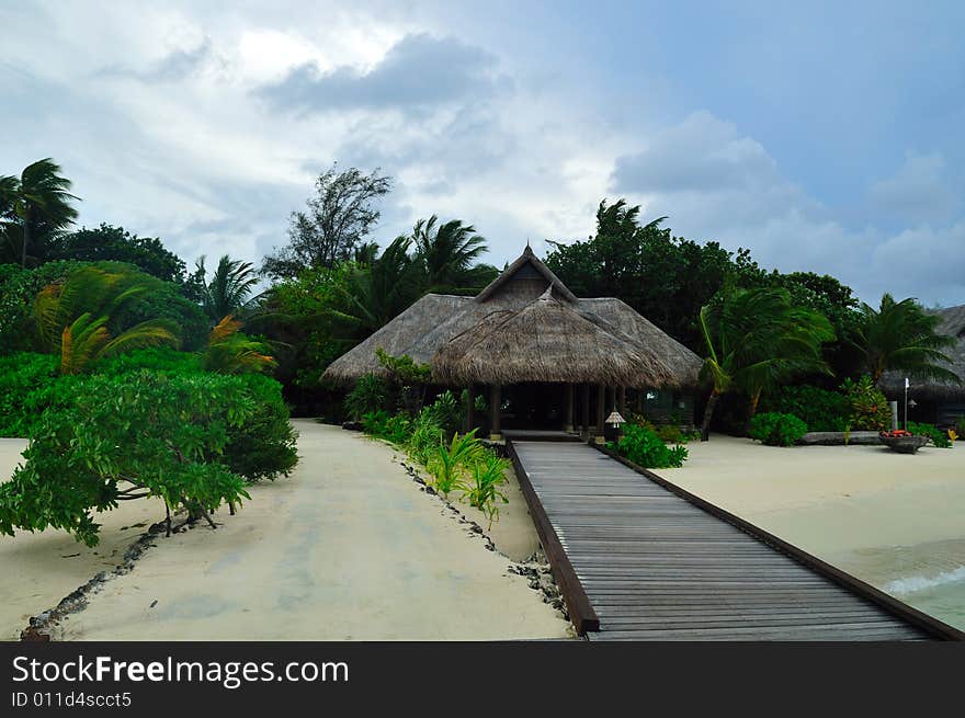 Island of Paradise. White sand beaches with coco-tree and crystal blue water. Maldives. Luxury holidays. Island of Paradise. White sand beaches with coco-tree and crystal blue water. Maldives. Luxury holidays.