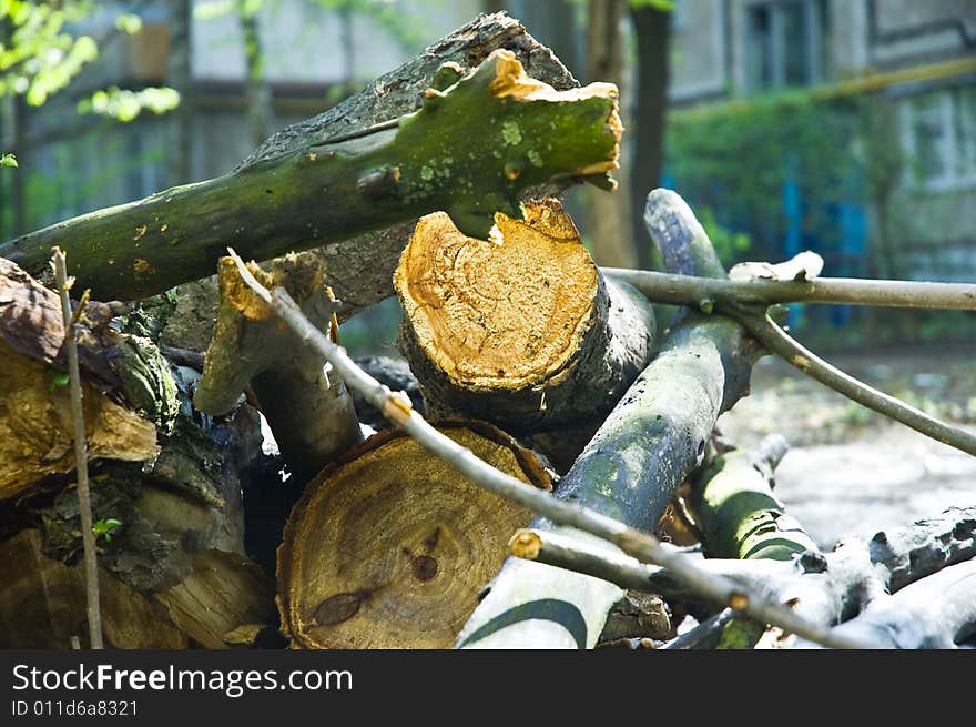 Wooden saw cut and pile of timber