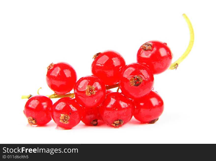 Very fresh and juicy red currant