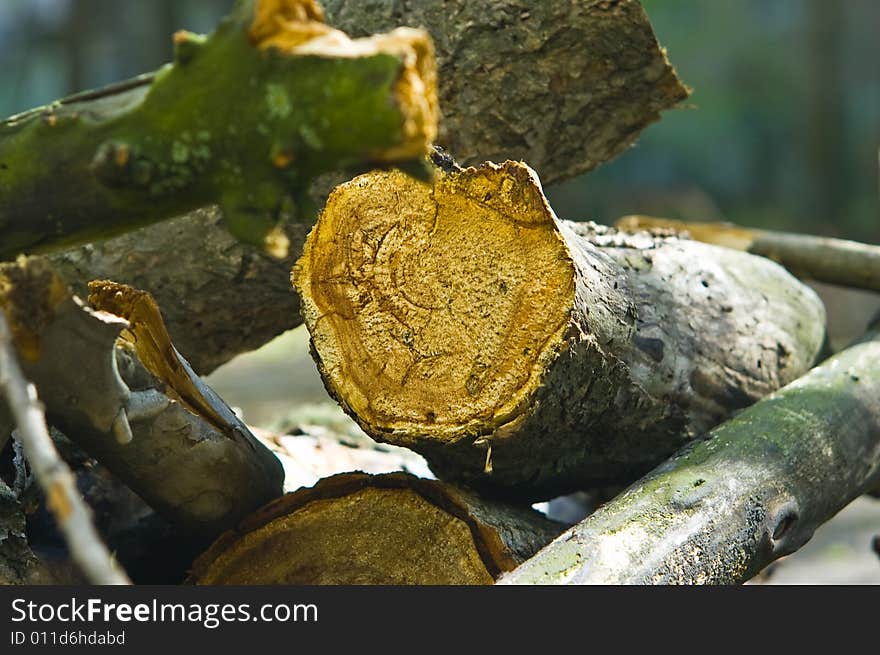 Wooden knot on pile of timber. Wooden knot on pile of timber