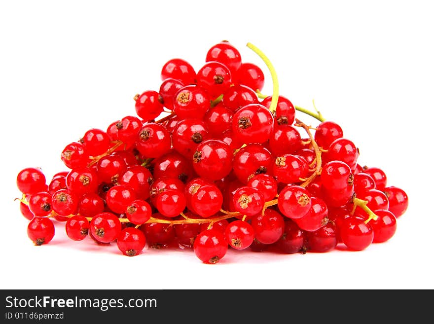 Currant